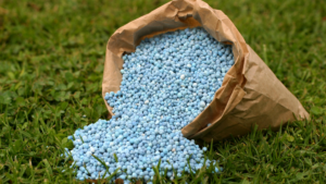 fertilizantes